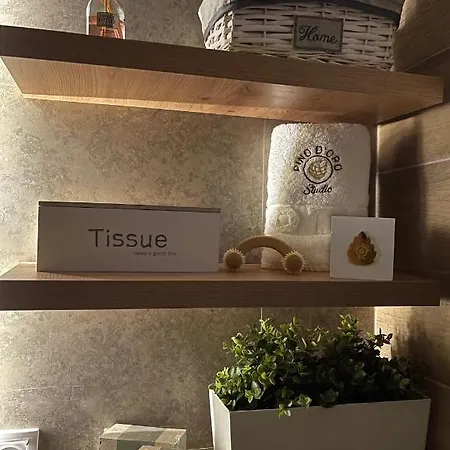 Pino D'oro Onore Appartement